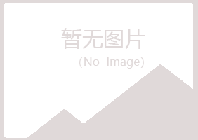 安图县沉淀银行有限公司